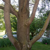 228IMG_5529