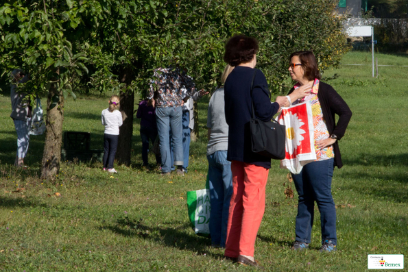 IMG_5987IMG_5987