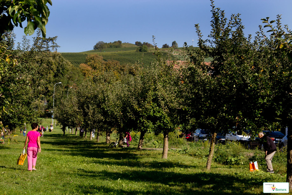 IMG_5998IMG_5998