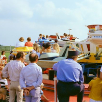 96390018