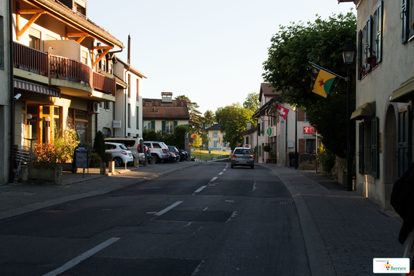 IMG_2011