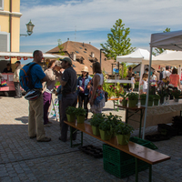 marché    107