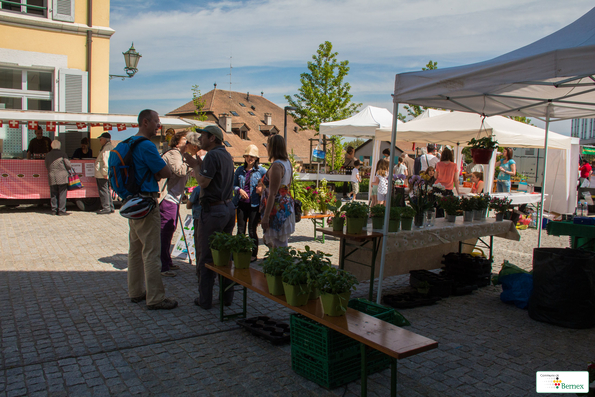marché    107