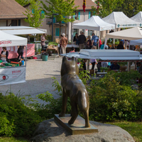 marché    37