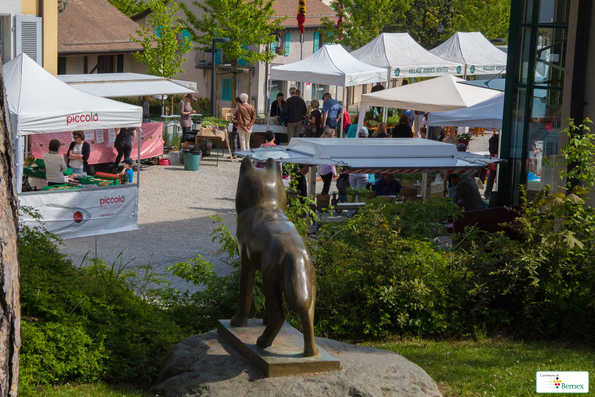 marché    37