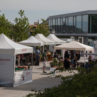 marché    38