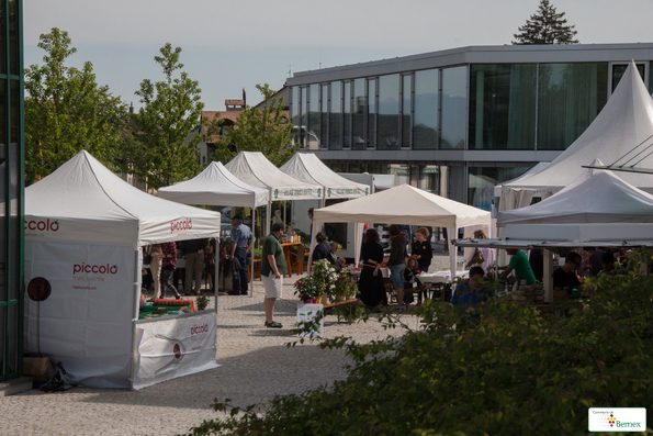 marché    38