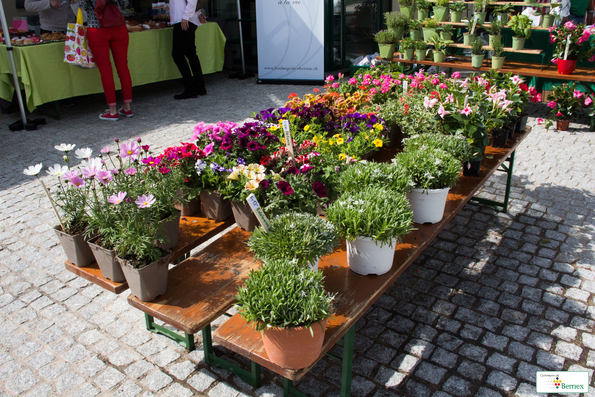 marché    46