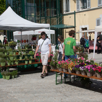 marché    48