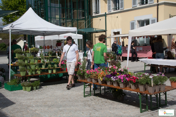 marché    48