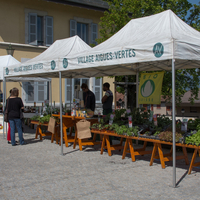 marché    64