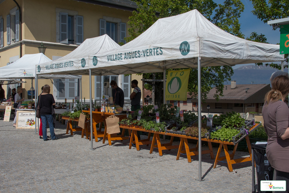 marché    64