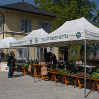 marché    65
