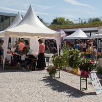 marché    99
