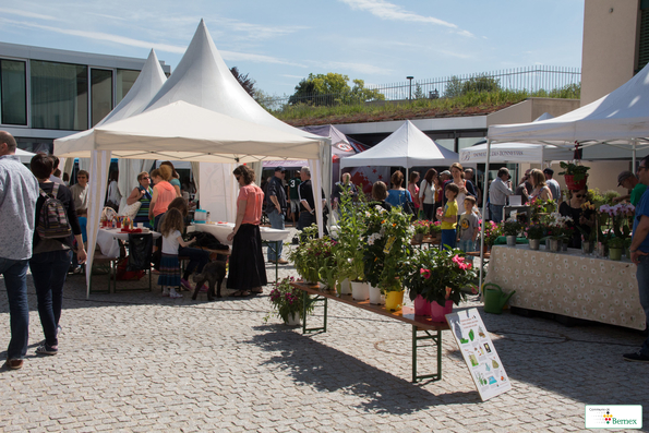 marché    99