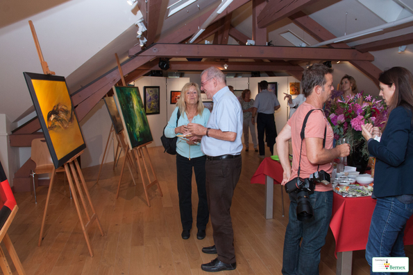 galerie  _MG_0043