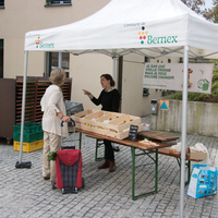 1176 Marché de Bernex "Raisins" 1 oct. 2016