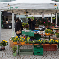 1180 MARCHé DE BERNEX 5 NOVEMBRE 2016