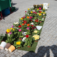 1272 MARCHÉ DE PRINTEMPS 4 MAI 2018