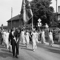 cortège