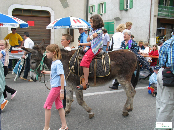 102-0249_img