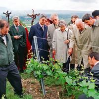 44-vigne-des-nations-ompi-juin-1997