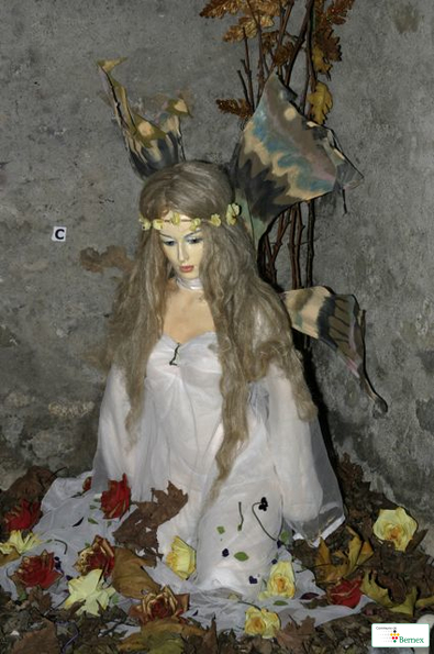 img_0058