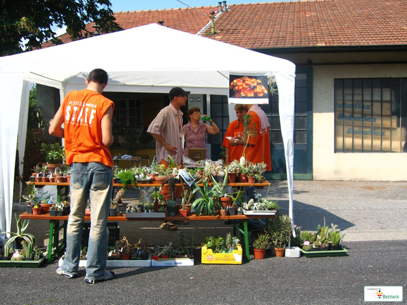 2005-20eme-edition-rencontre-muicale-031