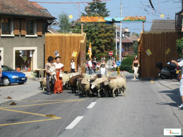 2005-20eme-edition-rencontre-muicale-038