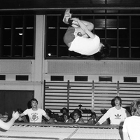 61-merite-sportif-s-siry-vez-gym-fevrier-1981
