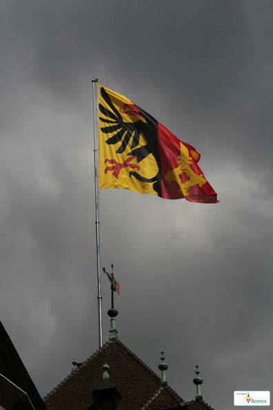 _mg_0004