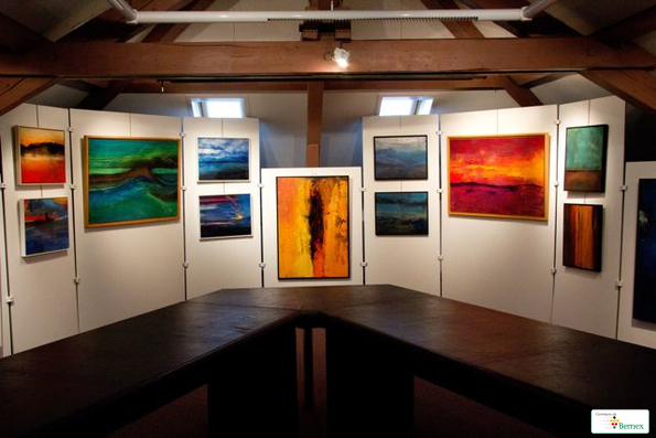 GALERIE-EXPO-F.-BRUTIN009