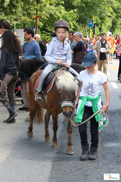 IMG_2172-copie