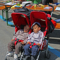 IMG_2246-copie