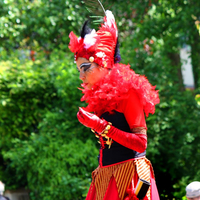 IMG_2261-copie