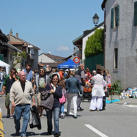 IMG_2412-copie