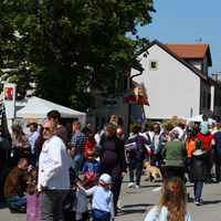 IMG_2568-copie
