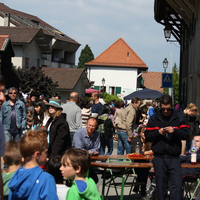 IMG_2574-copie