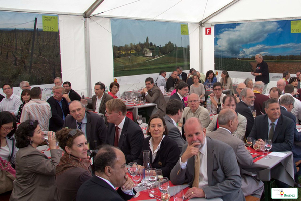 vignes-nations-294