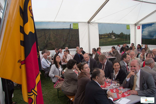 vignes-nations-299