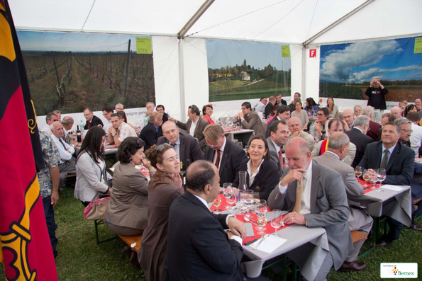 vignes-nations-300