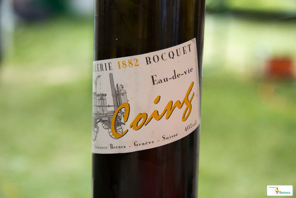 vignes-nations-349