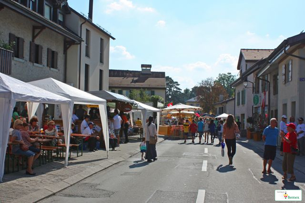 IMG_8544-copie
