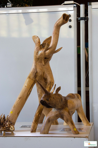 expo-SAMEDIIMG_7291