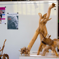 expo-SAMEDIIMG_7292