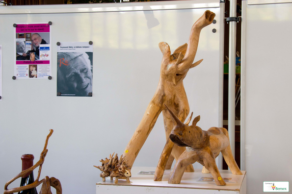 expo-SAMEDIIMG_7292