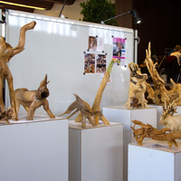 expo-SAMEDIIMG_7298