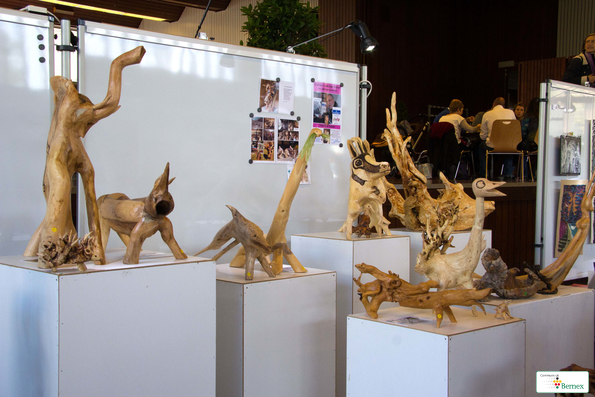 expo-SAMEDIIMG_7298