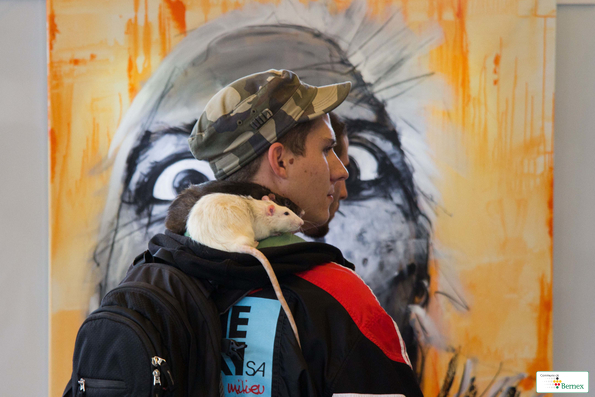 expo-SAMEDIIMG_7360
