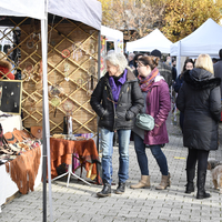 Marché de Noël à Lully 2019
Photo Alain Grosclaude 
Mention Obligatoire
Reproduction Interdite